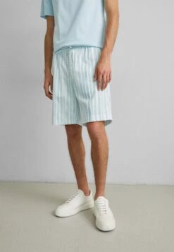 J.Lindeberg Earl Painted Stripe - Shorts - Dream Blue