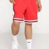 Nike Performance Chicago Bulls Nba Swingman Short Road - Pantalón Corto De Deporte - University Red/White -Solid Ventas 76dba44b2b254554b2e4af267e67a7fe