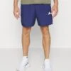 ADIDAS PERFORMANCE Pantalón Corto De Deporte - Dark Blue/White