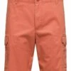 Selected Homme Cargo Regular Fit - Shorts - Baked Clay -Solid Ventas 8ee0c88abed54cb0b70c0e11a7255d55