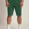 Shorts - Vert Moyen