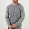 Regular Fit - Sudadera - Grey